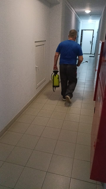 Дезинсекция мест общего пользования